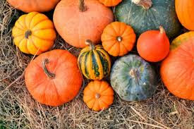 Calabaza. Propiedades y Usos