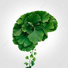 GinKo Biloba, Extracto, ¿Para qué sirve?