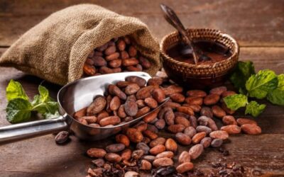 Propiedades del Cacao