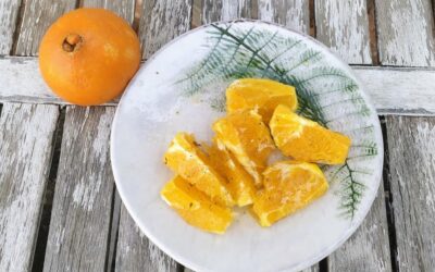 Es temporada de naranjas!!!