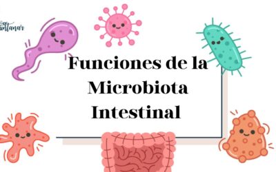 Diversidad Bacteriana = Más Salud